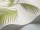 PalmLeaves_Image_WaveImage_Item_95-1009 (1).webp