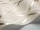 Pompeian_Image_WaveImage_Item_95-11059.webp