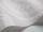 Rajapur_Image_WaveImage_Item_95-2012.webp