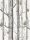 Woods_Pears_Image_Flatshot_Item_95-5027.webp