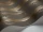 Woods_Pears_Image_WaveImage_Item_95-5028.webp