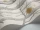 Woods_Pears_Image_WaveImage_Item_95-5032.webp