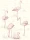 Flamingos_Image_Flatshot_Item_95-8045.webp