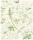 Hummingbirds_Image_Flatshot_Item_F111-1002.webp