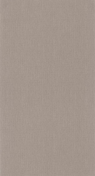 CASELIO_101561789 (1).jpg