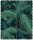 PalmJungle_Image_Flatshot_Item_F111-2004LU.jpg