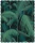 PalmJungle_Image_Flatshot_Item_F111-2004V.webp