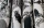 Miami_Image_WaveImage_Item_F111-4014.webp