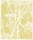 CowParsley_Image_Flatshot_Item_F111-5020.webp