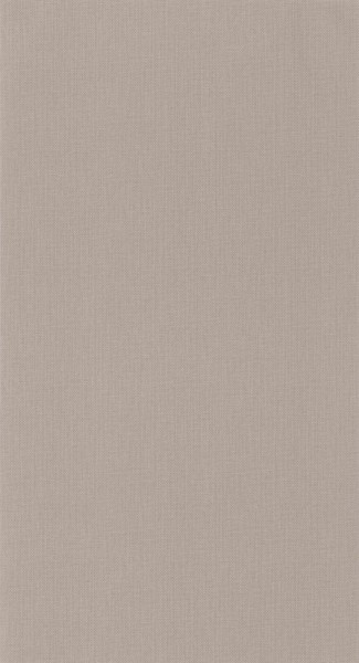 CASELIO_101561730 (1).jpg