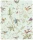 Hummingbirds_Image_Flatshot_Item_F62-1004.webp