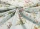 Cole_SonSelectionofHummingbirdsCottonF62-1004.webp