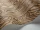 Zebrawood_Image_WaveImage_Item_107-1002.webp