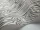 Zebrawood_Image_WaveImage_Item_107-1003.webp