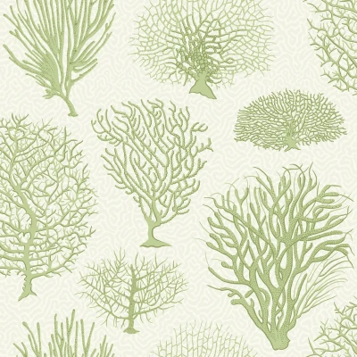 Seafern_Image_Flatshot_Item_107-2008.webp