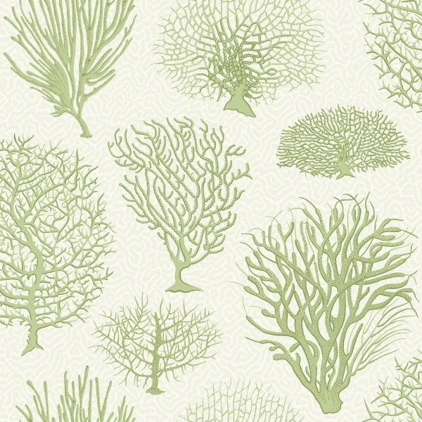 Seafern_Image_Flatshot_Item_107-2008.webp
