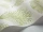 Seafern_Image_WaveImage_Item_107-2008.webp
