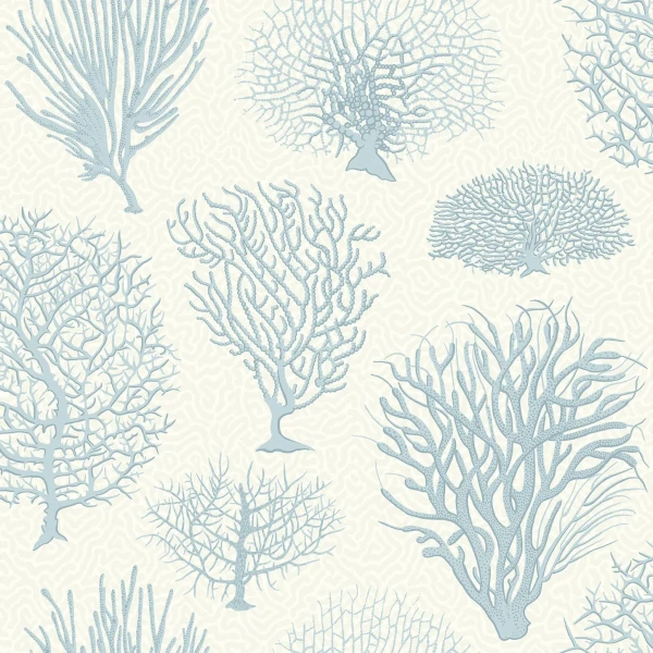 Seafern_Image_Flatshot_Item_107-2009.webp