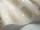 Seafern_Image_WaveImage_Item_107-2010 (1).webp