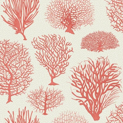 Seafern_Image_Flatshot_Item_107-2011.webp