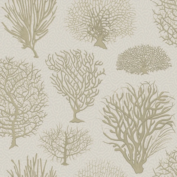 Seafern_Image_Flatshot_Item_107-2010.webp