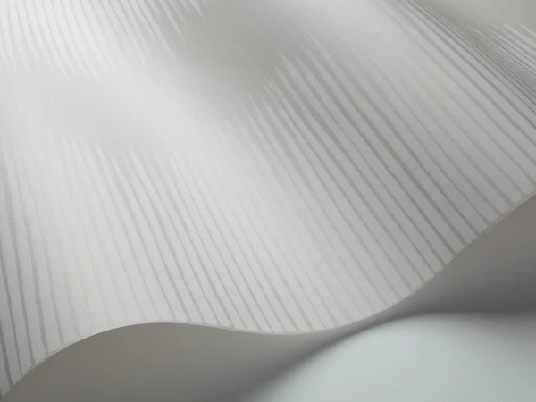 Plume_Image_WaveImage_Item_107-3013 — kopia.webp