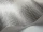Plume_Image_WaveImage_Item_107-3014.webp