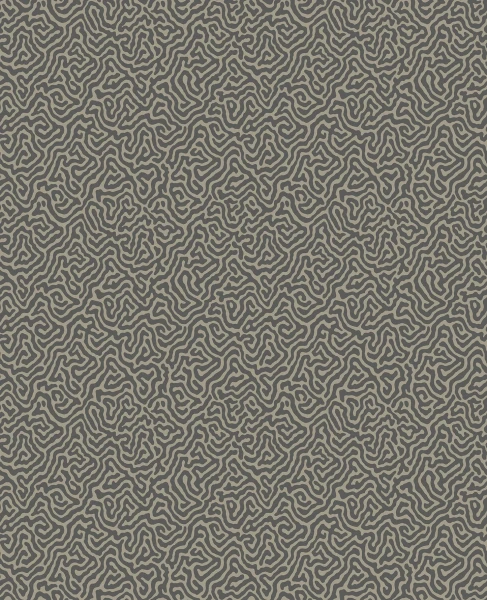 Vermicelli_Image_Flatshot_Item_107-4017.webp