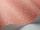 Vermicelli_Image_WaveImage_Item_107-4018.webp