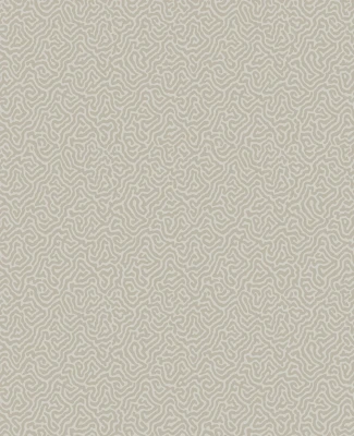 Vermicelli_Image_Flatshot_Item_107-4019.webp