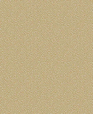 Vermicelli_Image_Flatshot_Item_107-4021.webp