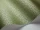 Vermicelli_Image_WaveImage_Item_107-4022.webp