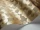 Ingot_Image_WaveImage_Item_107-5023.webp
