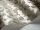 Ingot_Image_WaveImage_Item_107-5025.webp