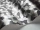 Ingot_Image_WaveImage_Item_107-5026.webp