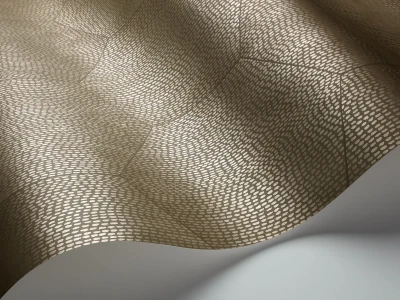 Mineral_Image_WaveImage_Item_107-6028.webp