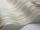 Strand_Image_WaveImage_Item_107-7033.webp