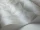 Quartz_Image_WaveImage_Item_107-8040.webp