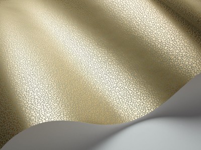 Goldstone_Image_WaveImage_Item_107-9041.jpg