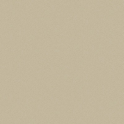Goldstone_Image_Flatshot_Item_107-9042.jpg