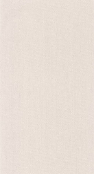 CASELIO_101561600 (1).jpg