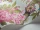 fontainbleau_Image_WaveImage_Item_99-12051.webp
