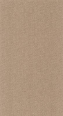 CASELIO_101561591 (1).jpg