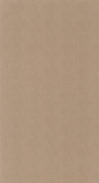 CASELIO_101561591 (1).jpg