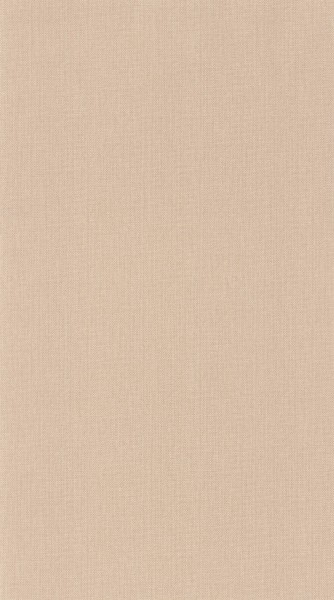 CASELIO_101561456 (1).jpg