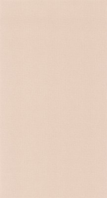 CASELIO_101561358 (1).jpg