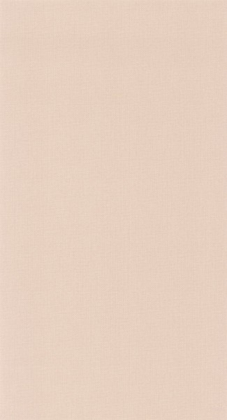 CASELIO_101561358 (1).jpg