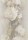 10513-37.jpg