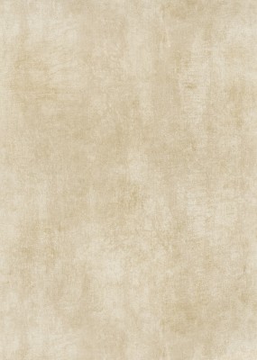 10438-02.jpg