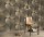 10423-15_room.jpg